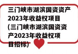 三门峡市湖滨国资资产2023年收益权项目(三门峡市湖滨国资资产2023年收益权项目招标)