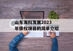 山东海科发展2023年债权项目的简单介绍