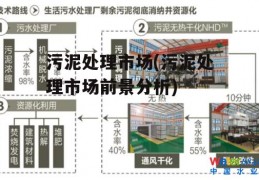 污泥处理市场(污泥处理市场前景分析)