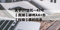 关于DY信托—48号‮南湖‬郴州AA+市‮标级‬债的信息