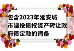 包含2023年延安城市建投债权资产转让政府债定融的词条