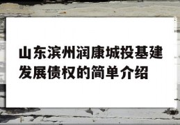 山东滨州润康城投基建发展债权的简单介绍