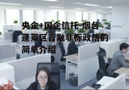 央企+国企信托-烟台蓬莱区首融非标政信的简单介绍