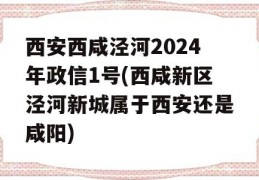 西安西咸泾河2024年政信1号(西咸新区泾河新城属于西安还是咸阳)