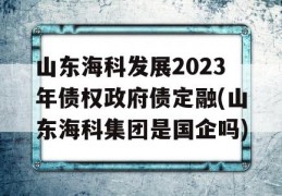 山东海科发展2023年债权政府债定融(山东海科集团是国企吗)