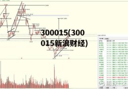 300015(300015新浪财经)