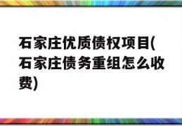 石家庄优质债权项目(石家庄债务重组怎么收费)