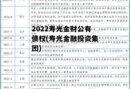2022寿光金财公有债权(寿光金融投资集团)