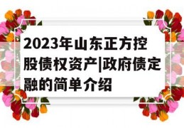 2023年山东正方控股债权资产|政府债定融的简单介绍