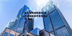 山东潍河城投债权(潍坊滨城投资开发有限公司 发债)