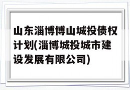 山东淄博博山城投债权计划(淄博城投城市建设发展有限公司)