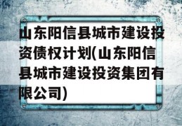 山东阳信县城市建设投资债权计划(山东阳信县城市建设投资集团有限公司)