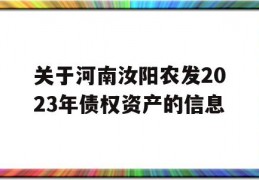 关于河南汝阳农发2023年债权资产的信息