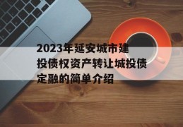 2023年延安城市建投债权资产转让城投债定融的简单介绍