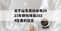 关于山东晟润水务2023年债权项目2024在售的信息