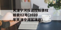 天津宁河投资控股债权拍卖02号(2020年天津宁河区项目)