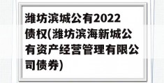 潍坊滨城公有2022债权(潍坊滨海新城公有资产经营管理有限公司债券)