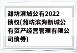 潍坊滨城公有2022债权(潍坊滨海新城公有资产经营管理有限公司债券)