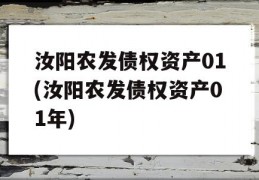 汝阳农发债权资产01(汝阳农发债权资产01年)