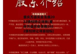 重庆万盛实业发展2022债权转让项目(重庆万盛实业发展2022债权转让项目招标)