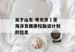 关于山东-寿光市昇景海洋发展债权融资计划的信息