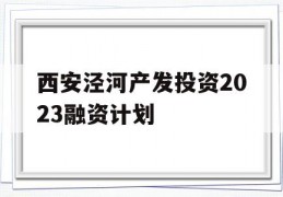 西安泾河产发投资2023融资计划