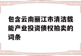 包含云南丽江市清洁载能产业投资债权拍卖的词条