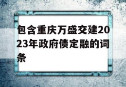 包含重庆万盛交建2023年政府债定融的词条