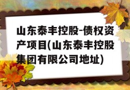 山东泰丰控股-债权资产项目(山东泰丰控股集团有限公司地址)