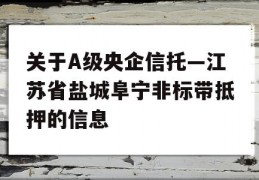 关于A级央企信托—江苏省盐城阜宁非标带抵押的信息