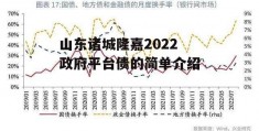 山东诸城隆嘉2022政府平台债的简单介绍