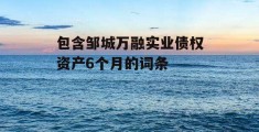 包含邹城万融实业债权资产6个月的词条