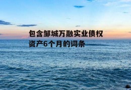 包含邹城万融实业债权资产6个月的词条