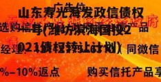 山东寿光海发政信债权一号(潍坊滨海国投2021债权转让计划)