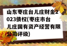 山东枣庄台儿庄财金2023债权(枣庄市台儿庄国有资产经营有限公司评级)