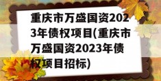 重庆市万盛国资2023年债权项目(重庆市万盛国资2023年债权项目招标)