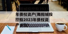 舞阳城投控股2023年债权资产(舞阳城投控股2023年债权资产评估)