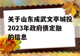 关于山东成武文亭城投2023年政府债定融的信息