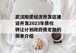 武汉阳逻经济开发区建设开发2023年债权转让计划政府债定融的简单介绍