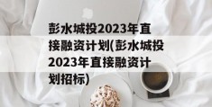 彭水城投2023年直接融资计划(彭水城投2023年直接融资计划招标)