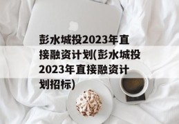 彭水城投2023年直接融资计划(彭水城投2023年直接融资计划招标)