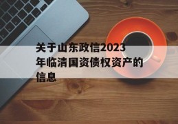 关于山东政信2023年临清国资债权资产的信息