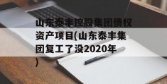 山东泰丰控股集团债权资产项目(山东泰丰集团复工了没2020年)