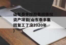 山东泰丰控股集团债权资产项目(山东泰丰集团复工了没2020年)