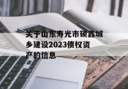 关于山东寿光市硕鑫城乡建设2023债权资产的信息