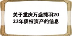 关于重庆万盛捷羽2023年债权资产的信息