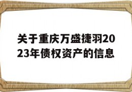 关于重庆万盛捷羽2023年债权资产的信息