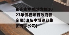 山东市中城建发展2023年债权项目政府债定融(山东中城建业集团有限公司)