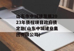 山东市中城建发展2023年债权项目政府债定融(山东中城建业集团有限公司)