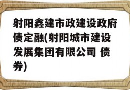 射阳鑫建市政建设政府债定融(射阳城市建设发展集团有限公司 债券)